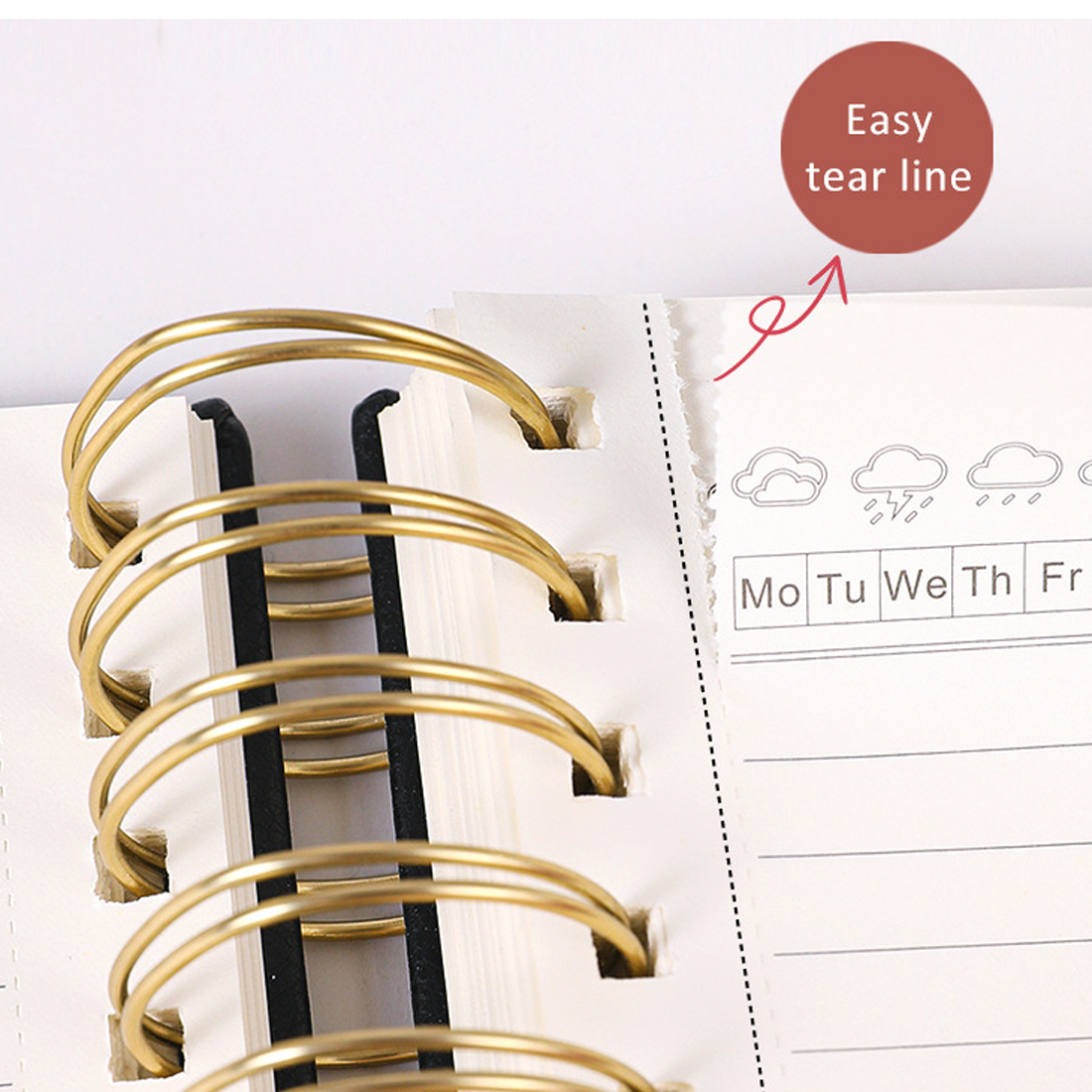Deluxe Spiral Notebook With Removable Dividers And Labels 5