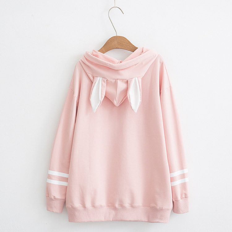 Title 4, Rabbit carrot Hooded Sweater