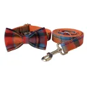 Bow Tie Set