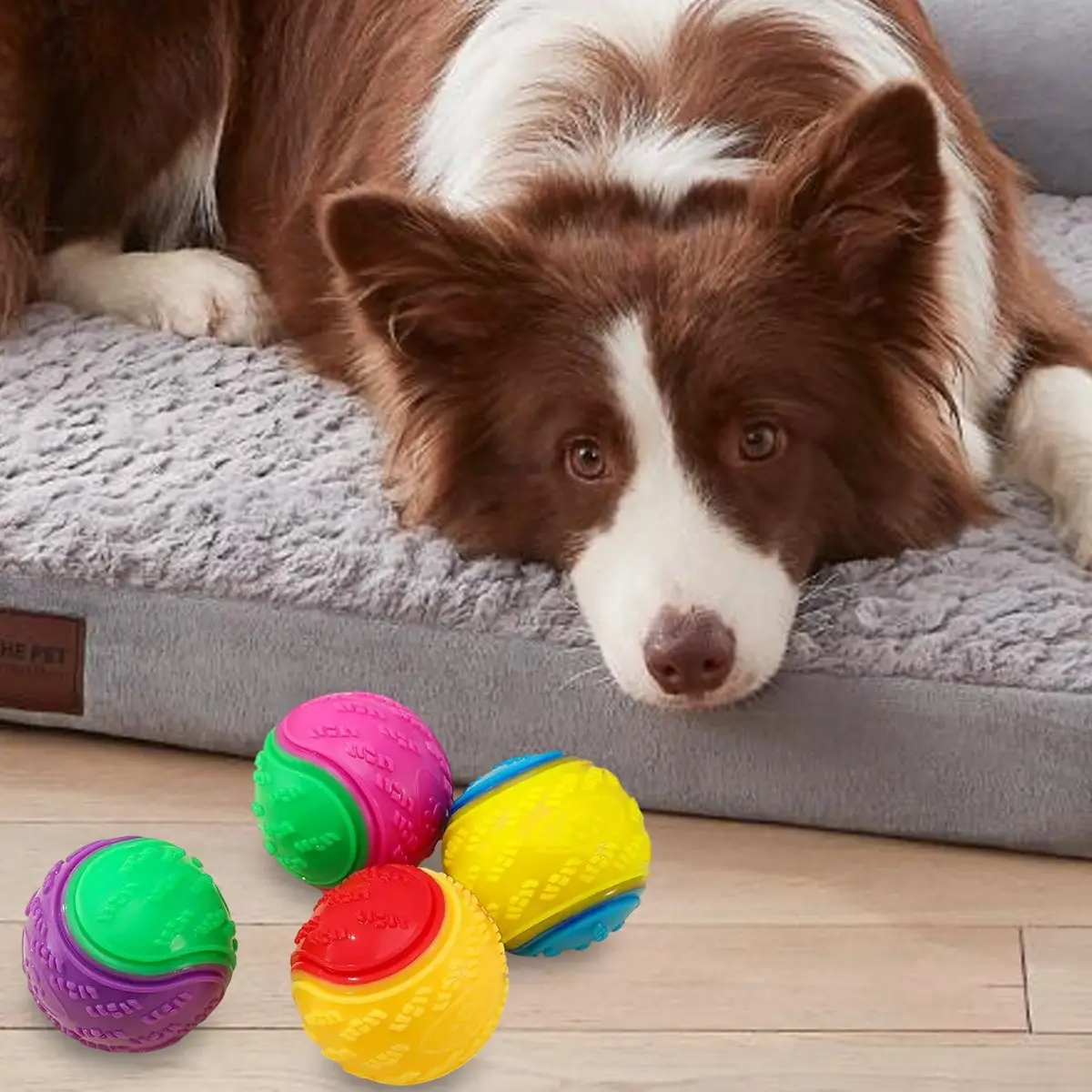 8X Scooby-Doo Durable Squeaky Set Dog Balls