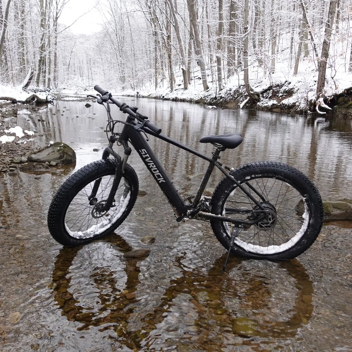 Professional Electric Bike For Adults, 26 X