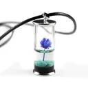 Blue Daisy