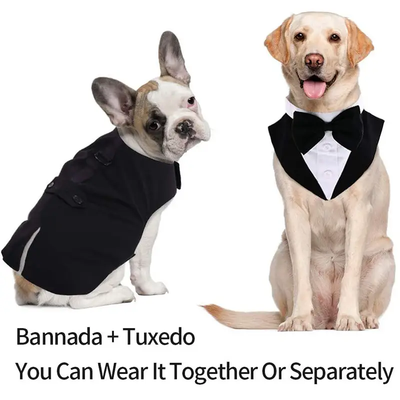 Pet Suit Dog Triangular Binder Big Dog Clothes