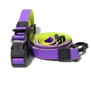 Purpleryellow