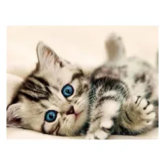 Embroidery Cat Animal Rhinestone Pictures Home Decor - View 1