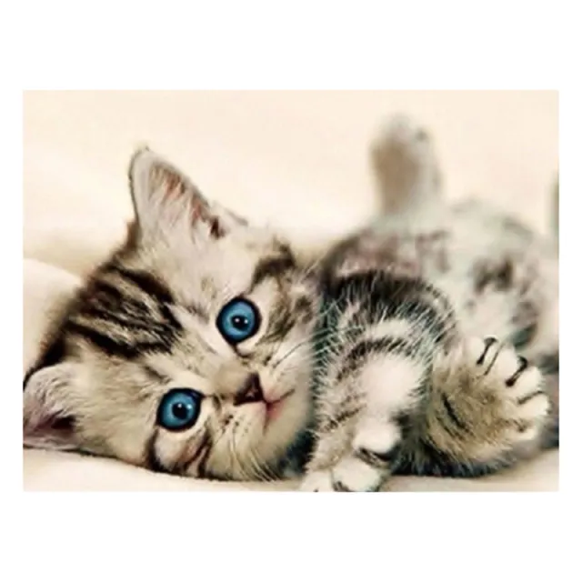 Embroidery Cat Animal Rhinestone Pictures Home Decor - Shop at LoveMi