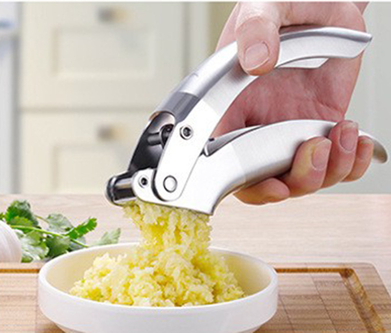 Title 6, 304 Stainless Steel Garlic Press