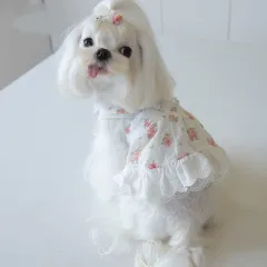 Small Town Flower Print Lace Dog Skirt - White - View 1