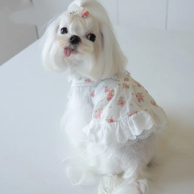 Small Town Flower Print Lace Dog Skirt White - Shop at LoveMi