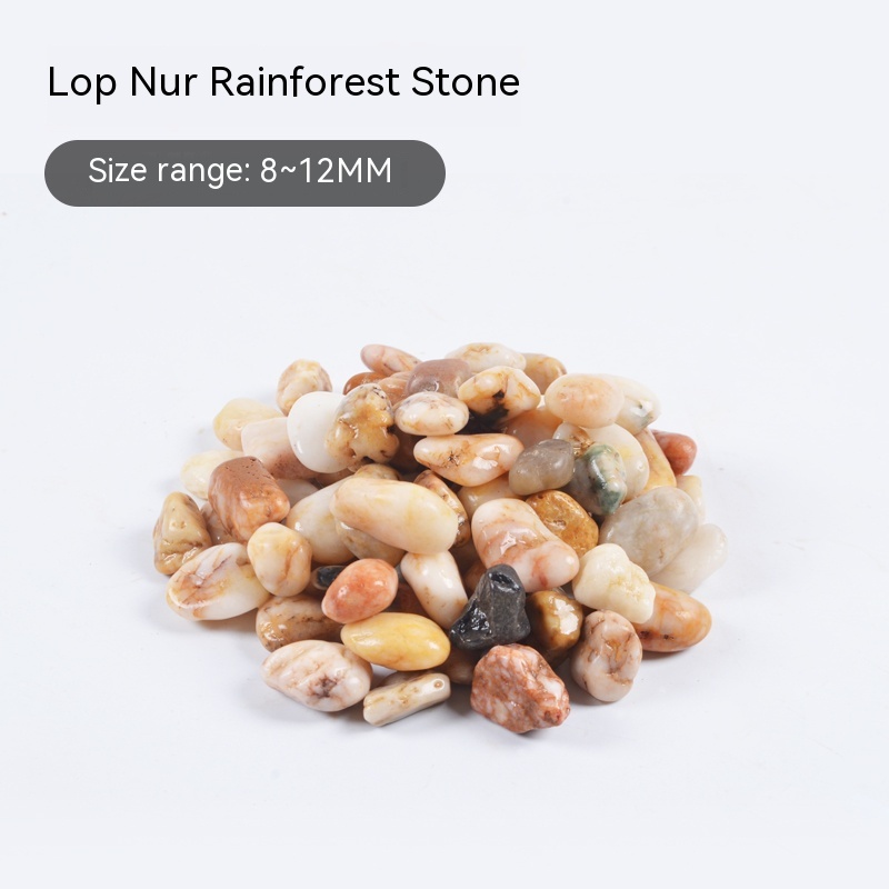 Lop Nur Rainforest Stone