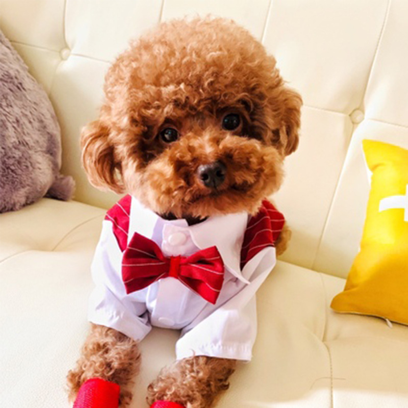 Fashion Simple Pet Dog Suit Shirt