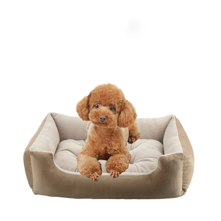 Medium Small Dog Sofa Bed Cushion