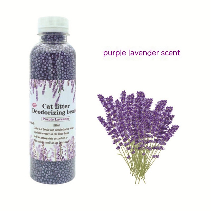 Purple Lavender