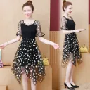 Black Mesh Skirt