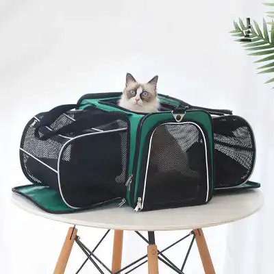 Pets Go Out Backpack Portable Space Capsule Large Capacity Shoulder Dog