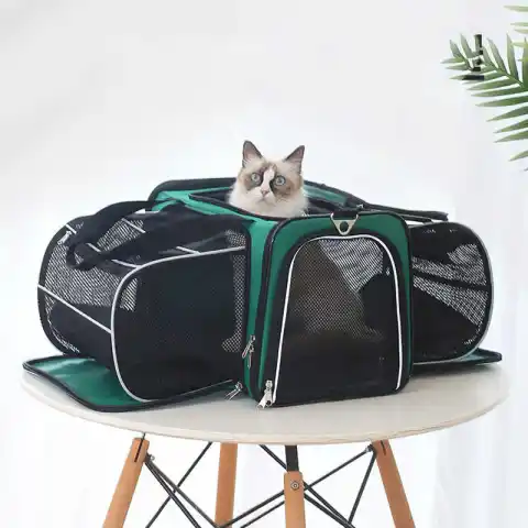 Pets Go Out Backpack Portable Space Capsule Large Capacity