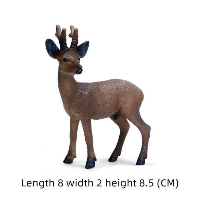 Pine Cones, Acorns, Wooden Strips, Cotton, Dried Fruit, Baking Decorations, Ornaments Doe Red Deer - Shop at LoveMi