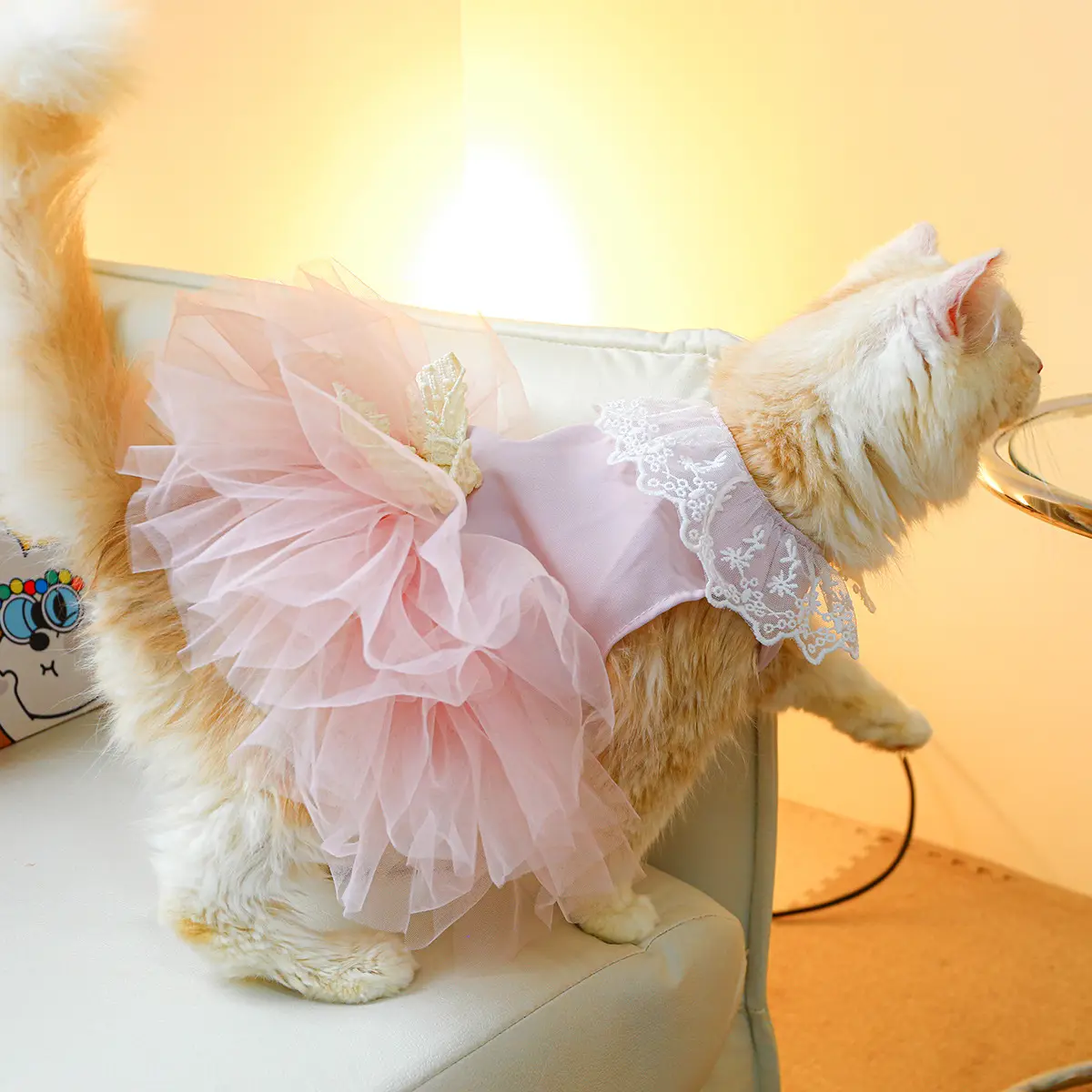 Pet Clothing Cat Clothes Lace