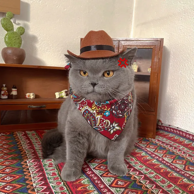 Cat Decorative Hat Pet Headwear Western Cowboy Hat Red Triangle Scar - Shop at LoveMi
