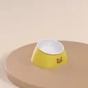 Ceramic