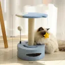 There Are Fish Cat Upgrades