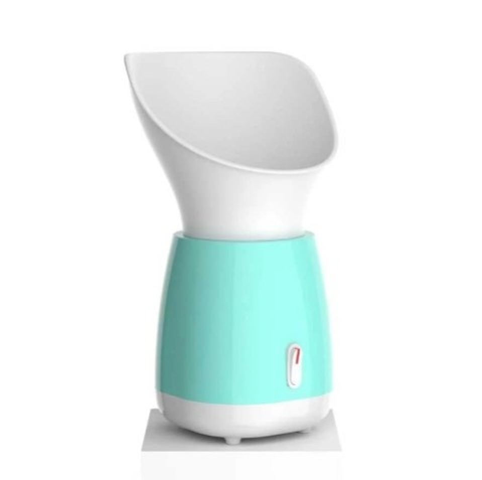 Professional Facial Steamer