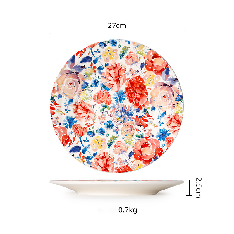 10.6inch large plate