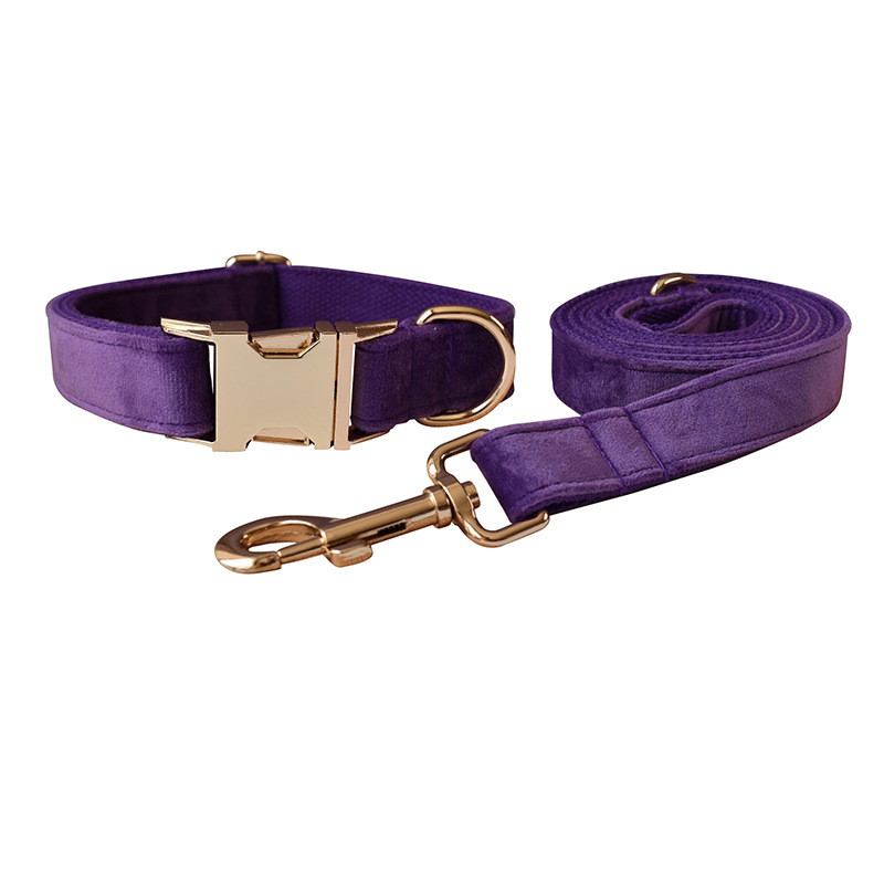 Dog collar dog leash set