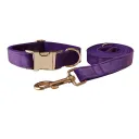 Dog Collar Dog Leash Set