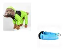 Green With Blue