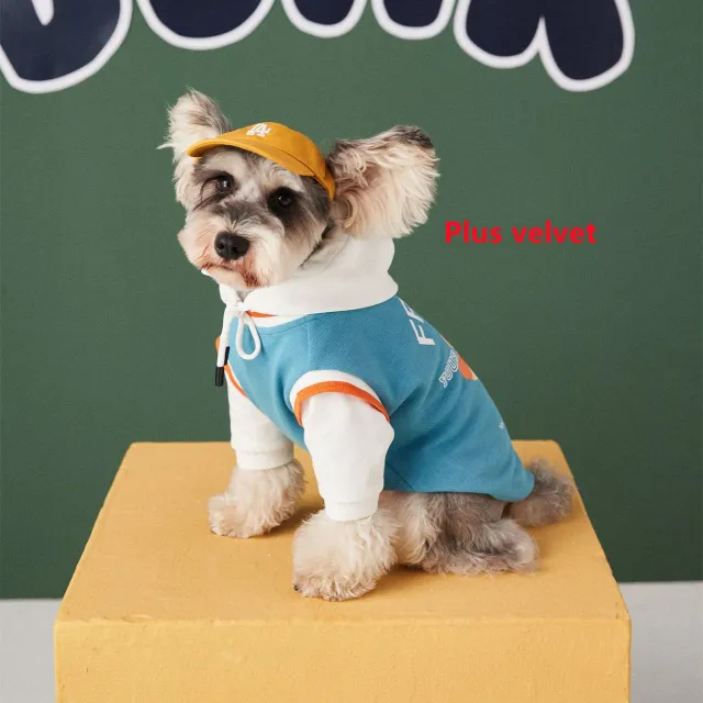 Dog Clothes Autumn And Winter Stitching Contrast Color Fake Two piece Pet Sweater Blue Plus Velvet - Shop at LoveMi