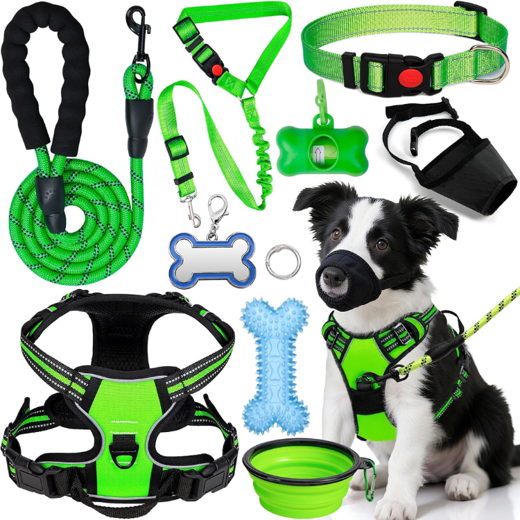 Dog Harness Collar And Leash Set - Dog Halter Harnesses Fits Small Medium Dogs Green-M