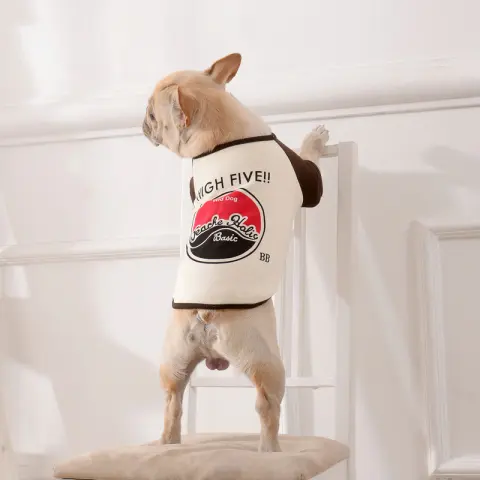 Clothes Pet Teddy Dog Fighting Two Leggings