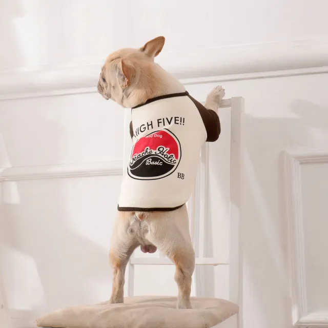 Clothes Pet Teddy Dog Fighting Two Leggings Khaki - Shop at LoveMi