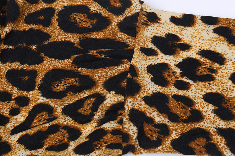 Title 11, Leopard Print Long-Sleeved Casual Loose Top T-S...