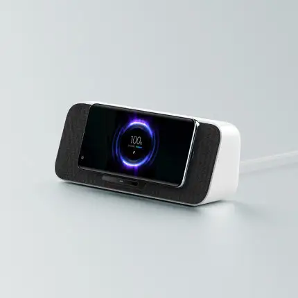 Wireless Charging Bluetooth Speaker 30W Fast Charge