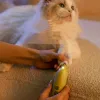 Electric Nail Grinder For Pet Products