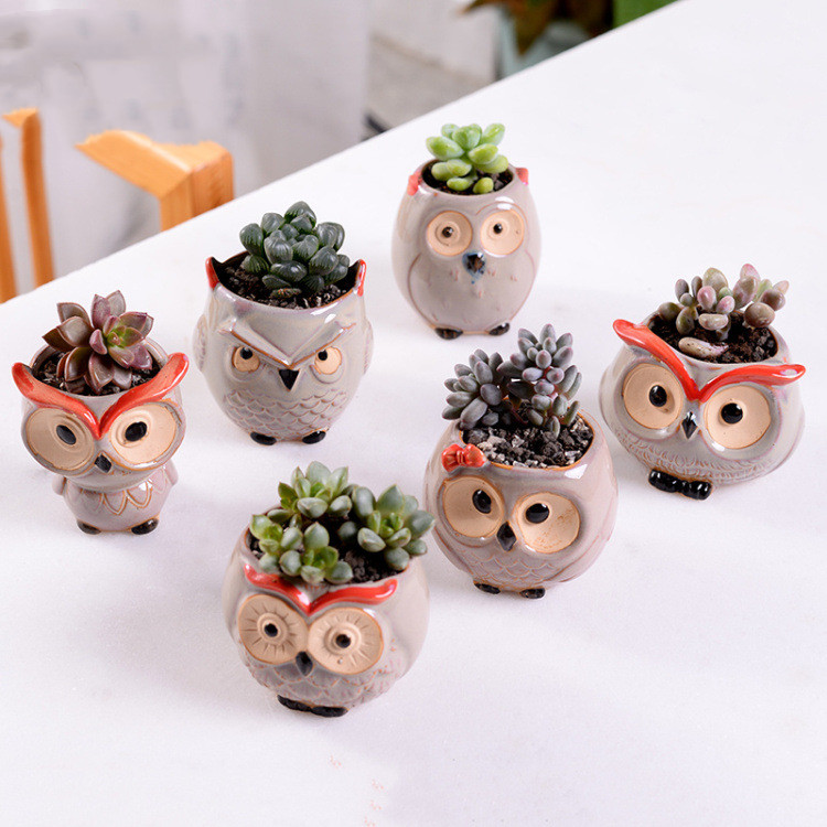 Stylish owl ceramic mini succulent planter