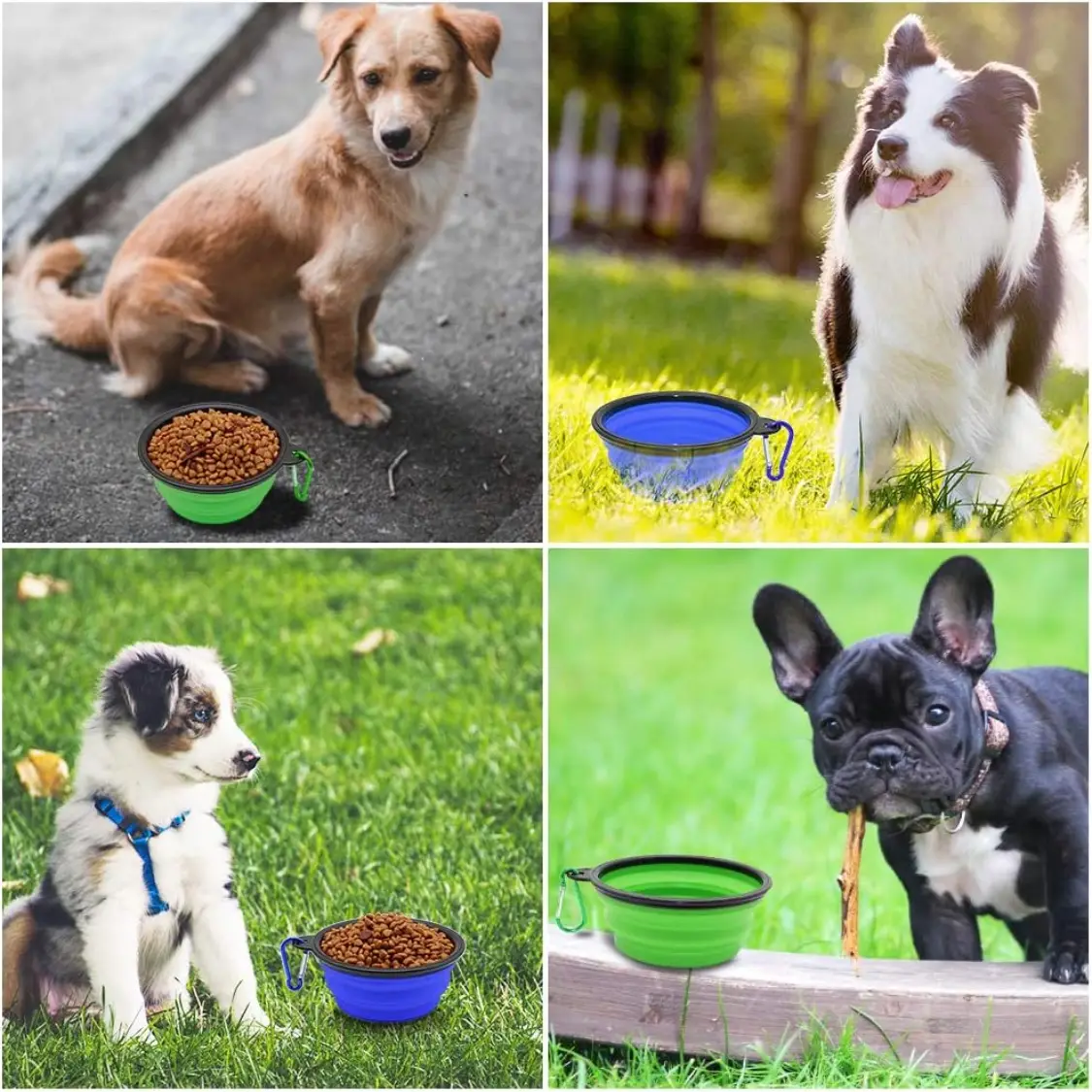 Dog Bowl Pet Collapsible Bowls, 2 Pack For Cats Dogs, Portable Pet Feeding Watering Dish For Walking Parking Traveling With 2 Carabiners