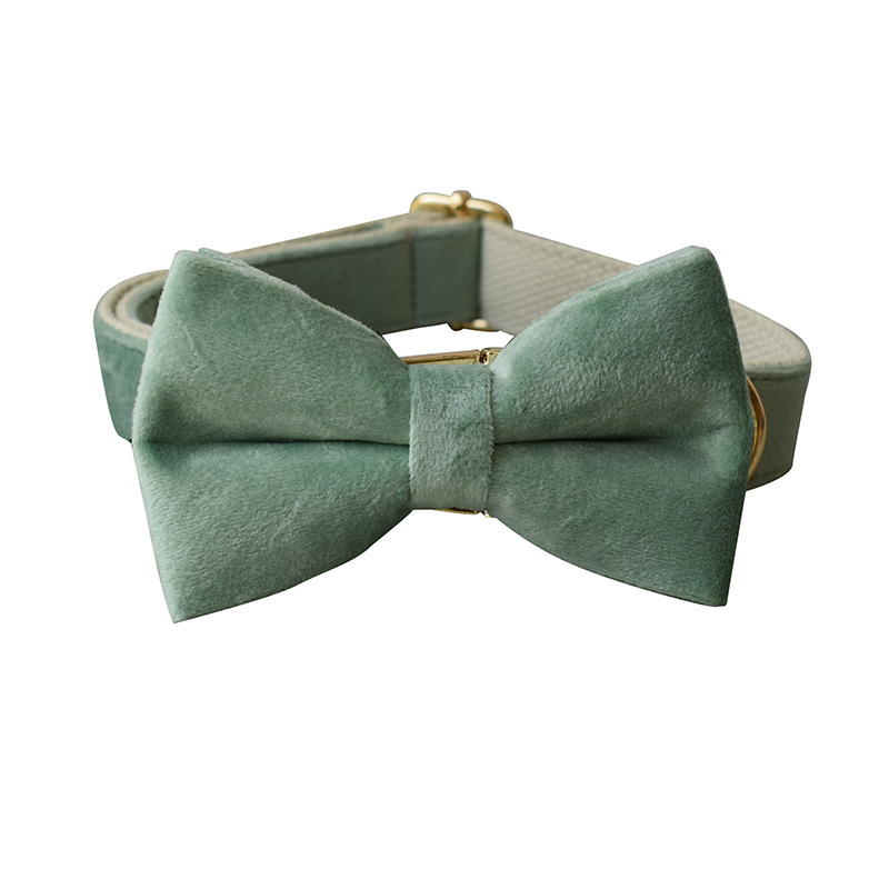 Bow tie Collar