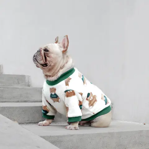 French Clothes Dog Pajamas Winter Corgi