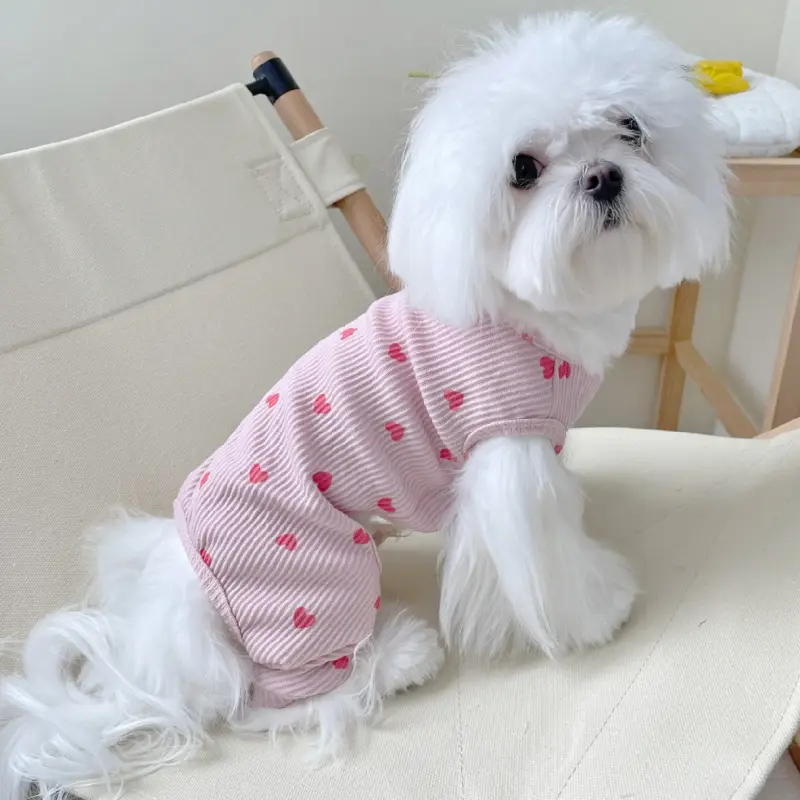 Love Four-legged Pet Home Clothes