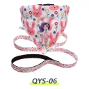 Qys06