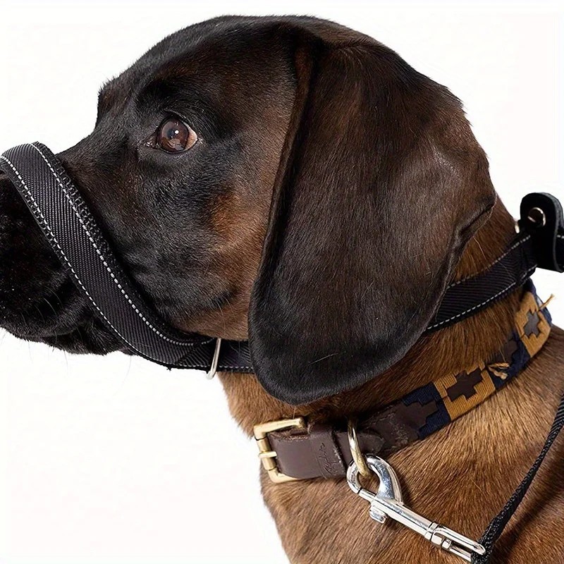 Figure Of 8 Dog Lead With Soft Comfy Padded Loop Handle And Nose Pads — image 9