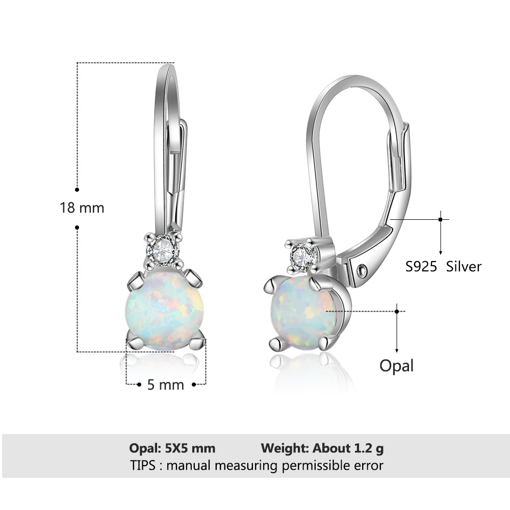 Simple Earrings S925 Silver Jewelry Women's Round