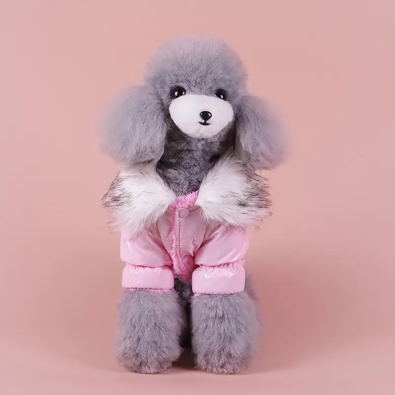Puppy Cute Padded Down Jacket Keeps Warm In Winter
