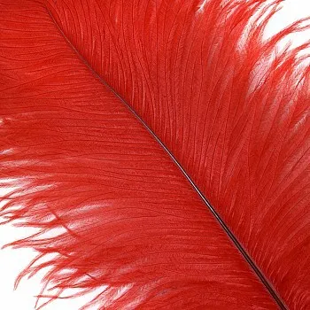 Ostrich Feather White Black Red Fluffy Feather For Wedding Party Red - Shop at LoveMi