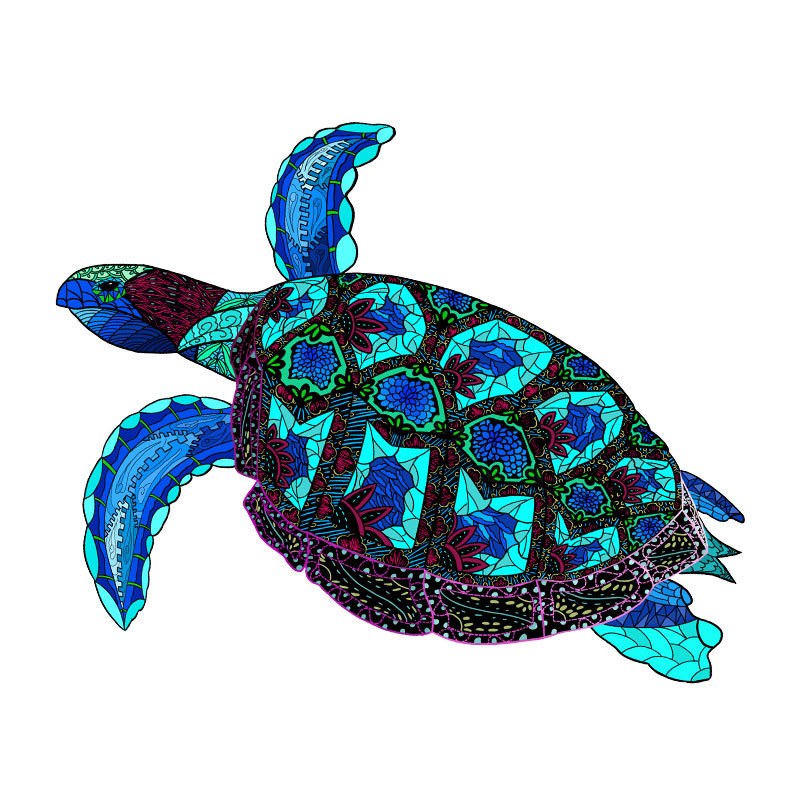 Sea turtle