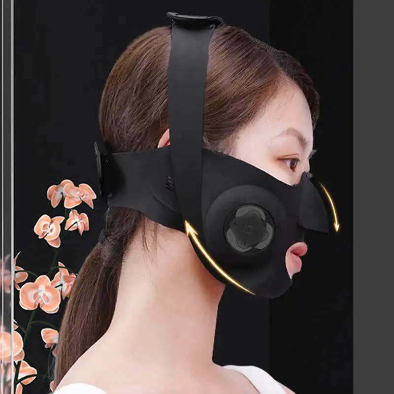 Tierra Micro Current Electric EMS Facial Care