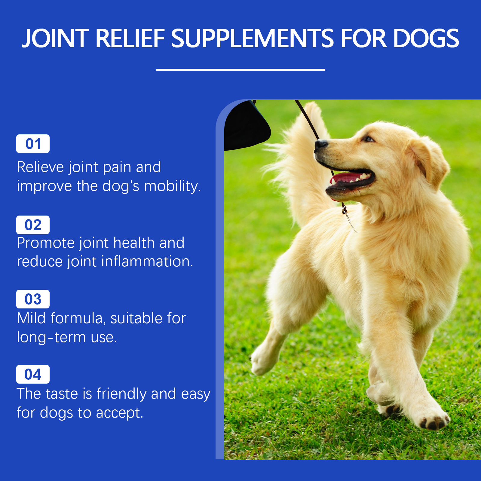 Dog Joint Relief Liquid Supplement Drops, Hip & Joint Care Support For All Breeds Dogs, Relieve Joint Pain, Reduce Inflammation, Restore Cartilage, Improve Mobility, 60ml — foto 6